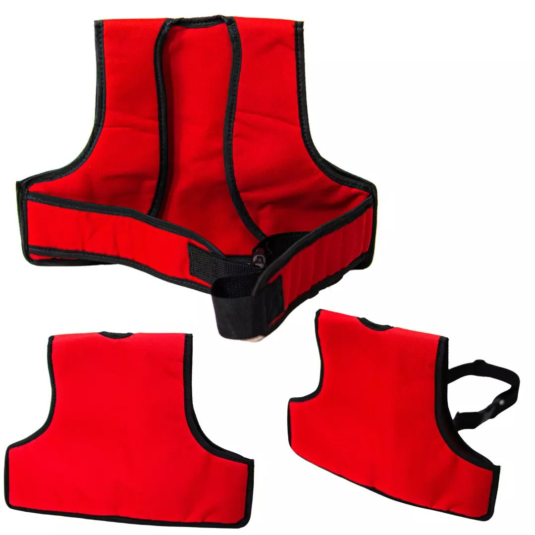 Colete Cinto Segurança Infantil Garupa Moto Kids Unissex